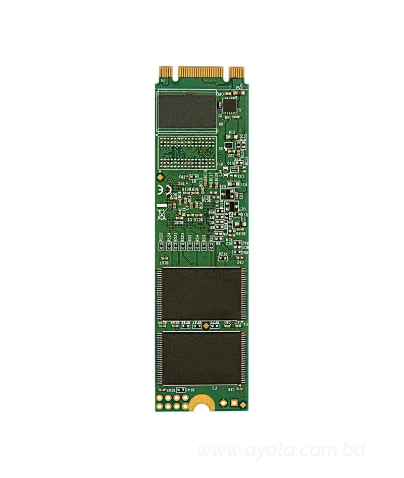 Transcend M.2 2280 120GB SATA III TLC Internal Solid State Drive (SSD) TS240GMTS820