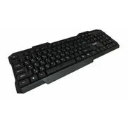 HAVIT KB613 USB Multimedia Keyboard